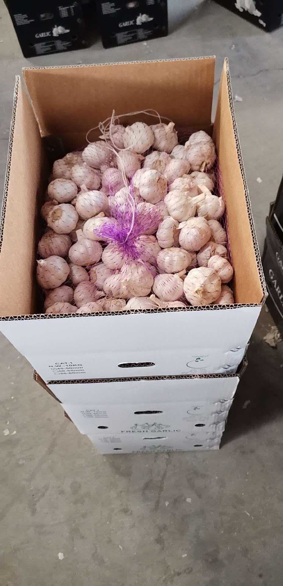 China Garlic Market Report-Feb.12th,2019