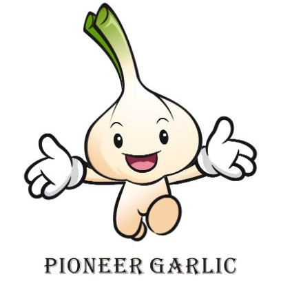 2019 China fresh garlic market status @ July 29th, 2019
