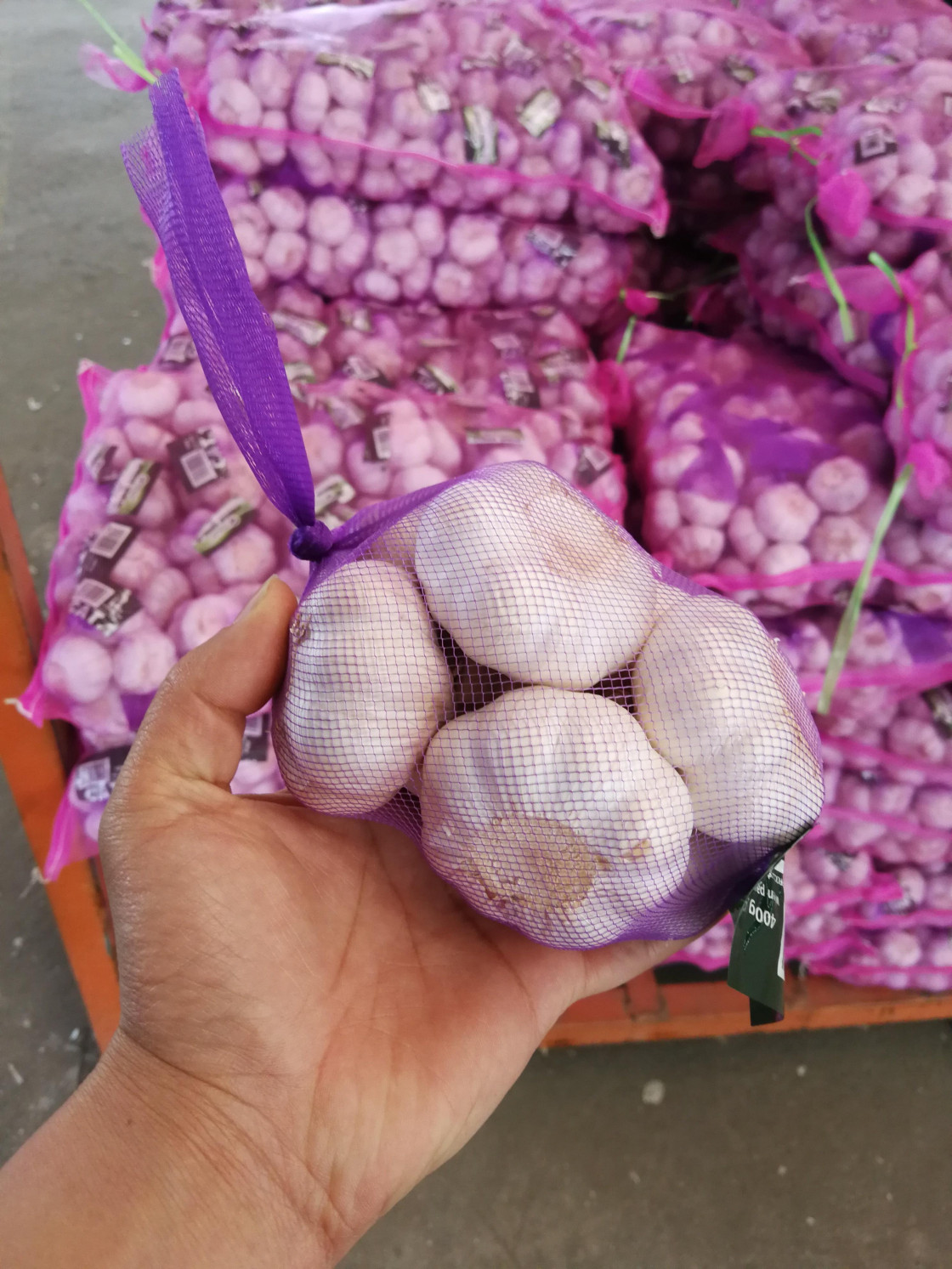 China garlic market daily report-2019-08-20