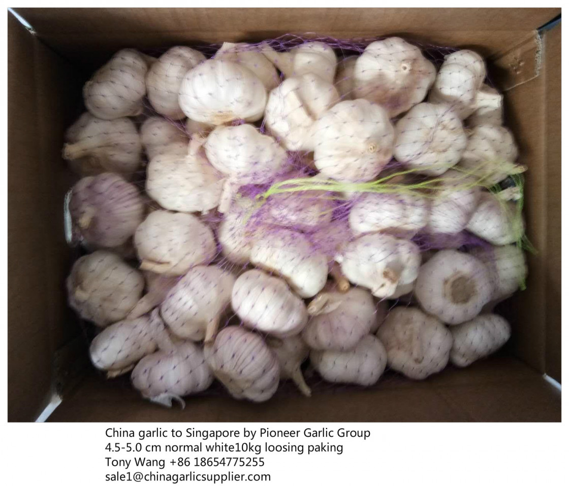 Why named garlic as the cancer terminator
