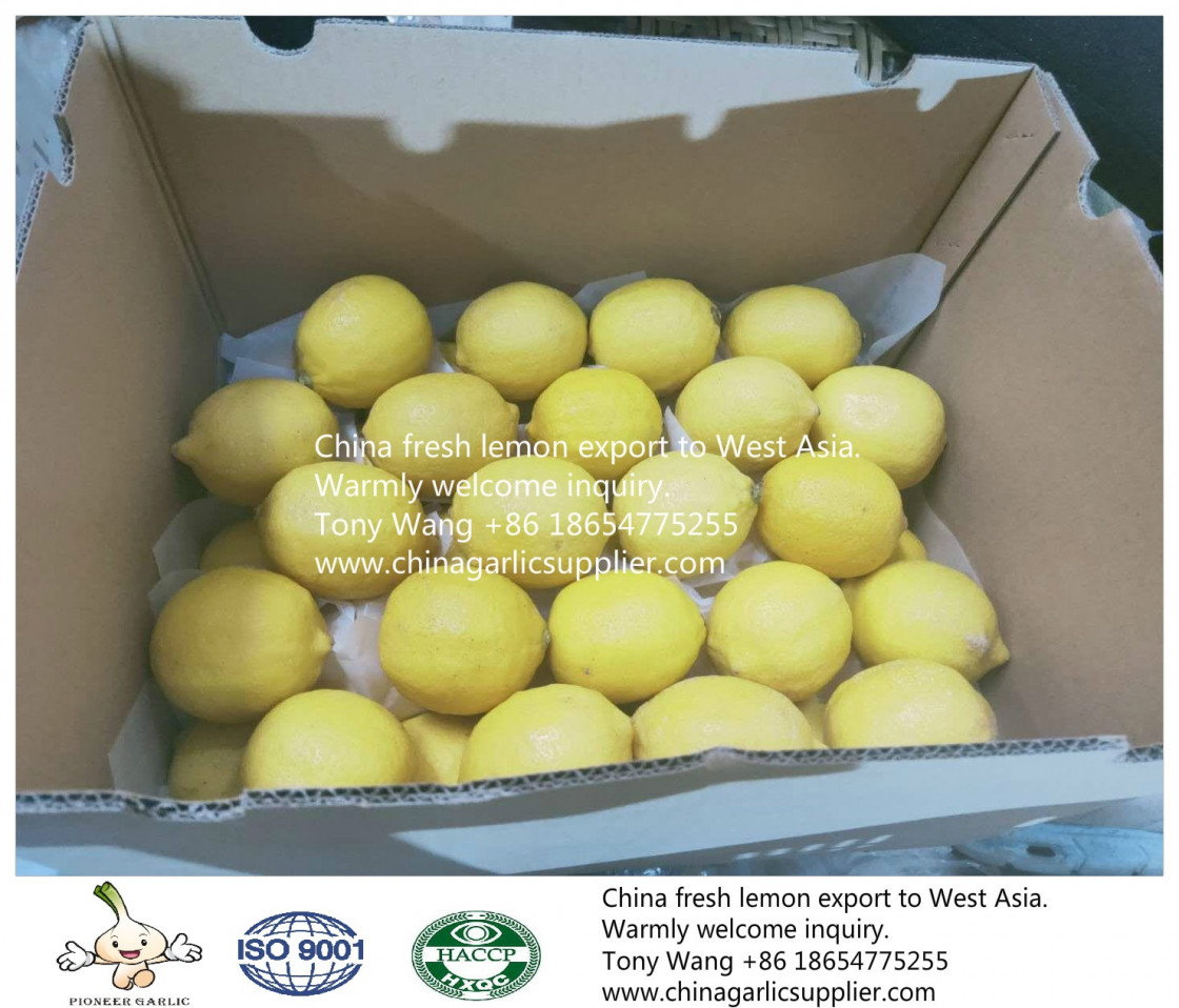 Demand for lemons is high in overseas markets