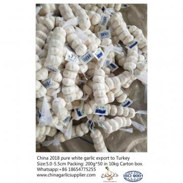 5.0-5.5 cm China fresh garlic export to Turkey.Packing:200G*50 in 10kg Carton box.