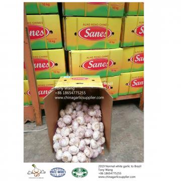 2019 China garlic to Brazil
