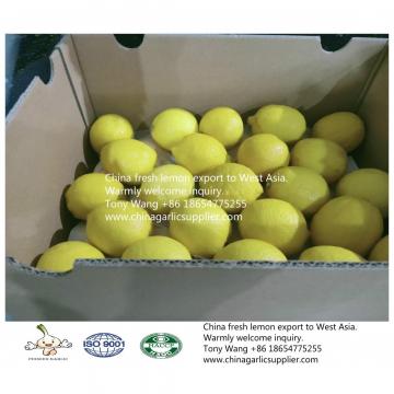 China Lemon export to Middle Asia