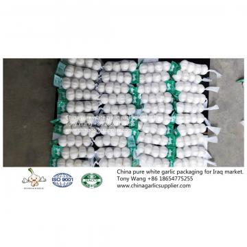 China Pure white garlic export to Iraq.