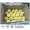 China Lemon export to Middle Asia