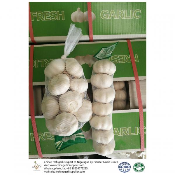 China 2018 Fresh Garlic export to Nigaragua #1 image