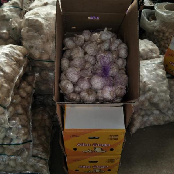 China 2018 Fresh Garlic export to Brazil-6.0 - 6.5cm red purple garlic in 10kg carton #4 image