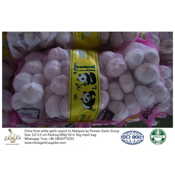 China pure white garlic export to Malaysia with 5kg mesh bag #1 image