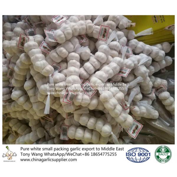 Pure White garlic export to Middle East with small package #6 image