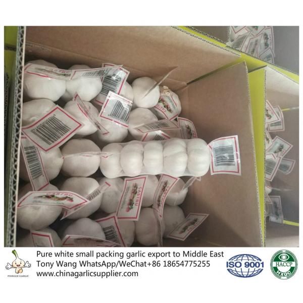 Pure White garlic export to Middle East with small package #1 image