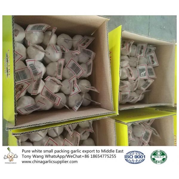 Pure White garlic export to Middle East with small package #2 image
