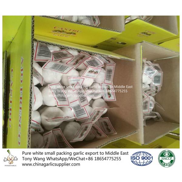 Pure White garlic export to Middle East with small package #5 image