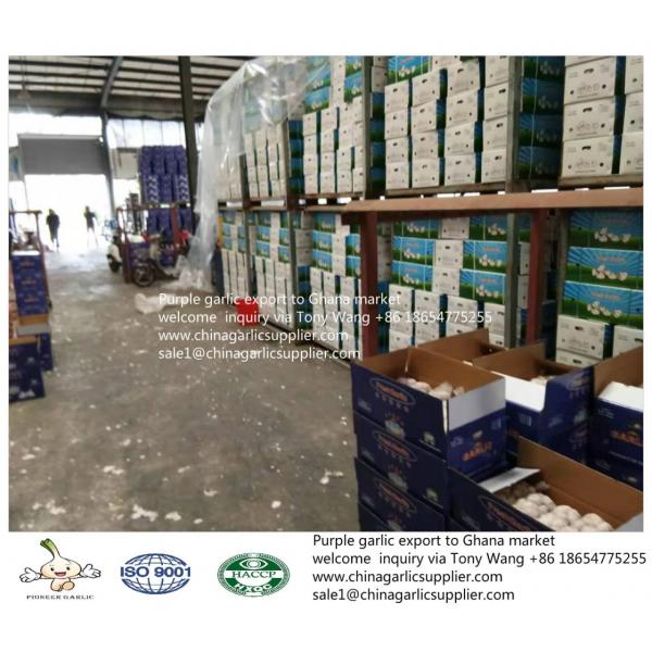 2019 fresh garlic export to Ghana #6 image