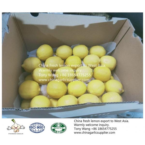China Lemon export to Middle Asia #1 image