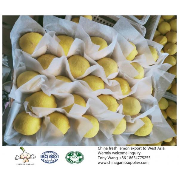China Lemon export to Middle Asia #2 image