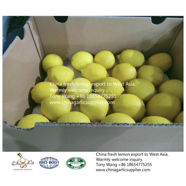 China Lemon export to Middle Asia #6 image